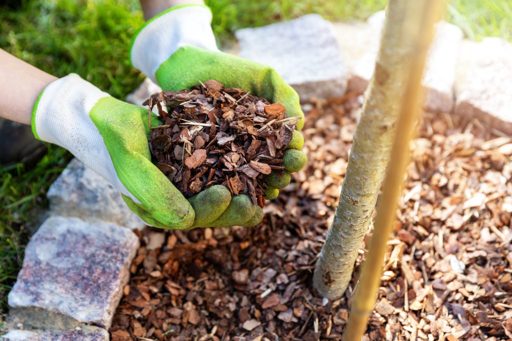 What is Mulching and How Can It Benefit Your Outdoor Space?